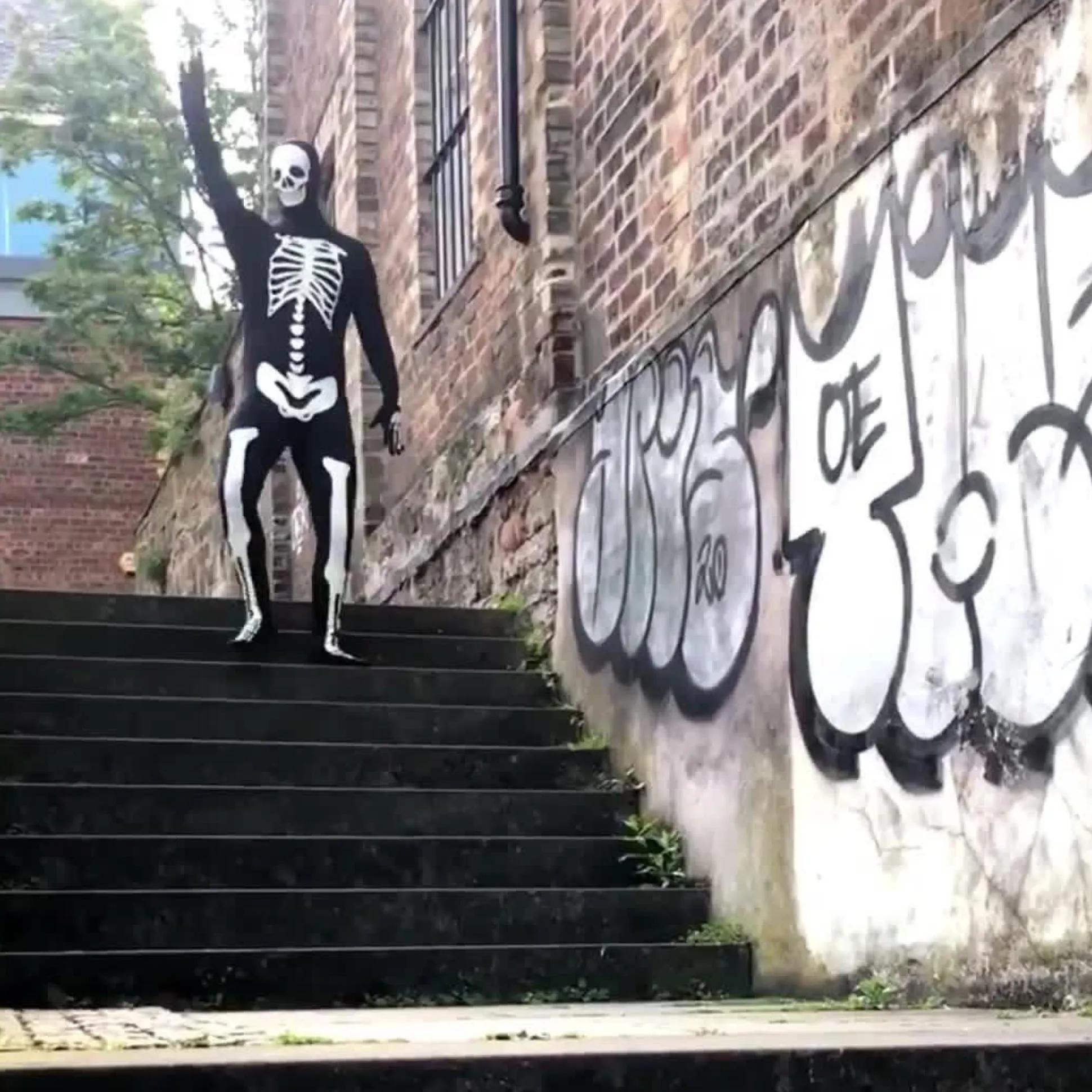 Best Adult Glow-In-The-Dark Skeleton Morphsuit Costume Men Scary