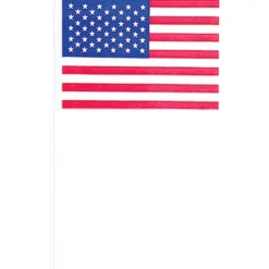 Clearance American Flag Picks 120Ct Baking Supplies