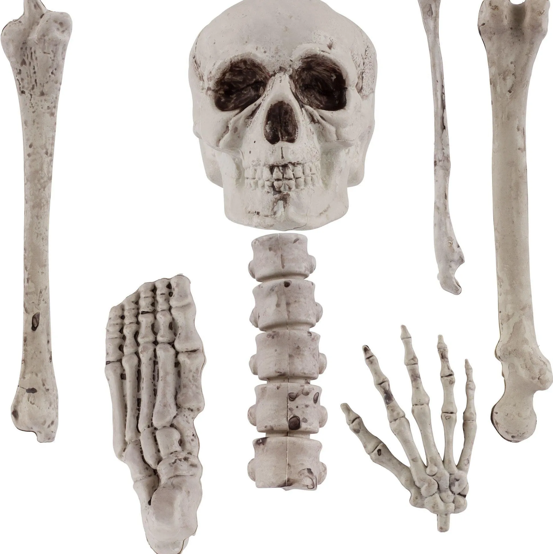 Party City Bag Of Bones 12Pc| Boneyard Glam