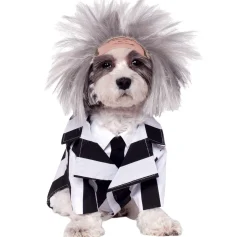 Cheap Beetlejuice Dog Costume Dog & Pet Costumes