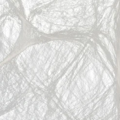 Party City Big Spider & Web| Spiders & Webbing