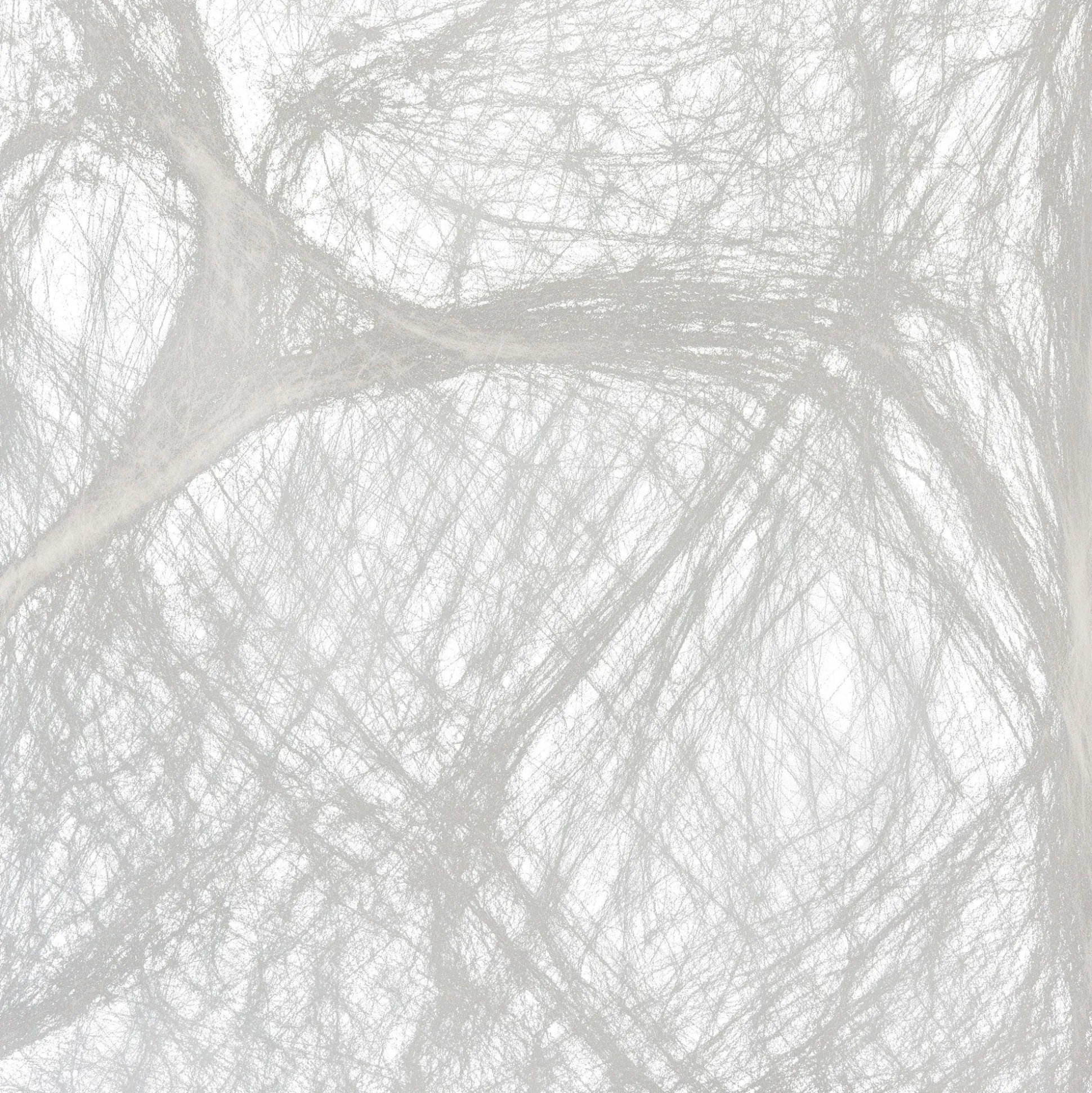 Party City Big Spider & Web| Wicked Haunting