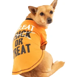 Flash Sale Black & Orange Treat-Or-Treat Dog T-Shirt Dog & Pet Costumes