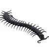 Party City Black Centipede| Creatures
