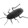Party City Black Cockroach| Creatures