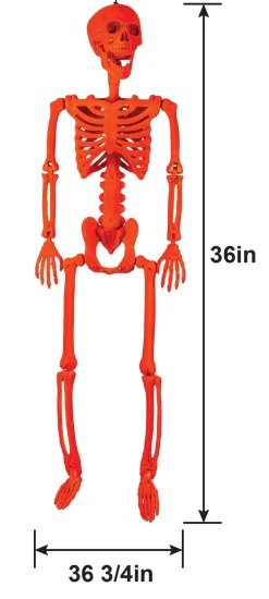 Party City Black Light Reactive Flocked Skeleton Hanging Decoration, 36In| Skeletons