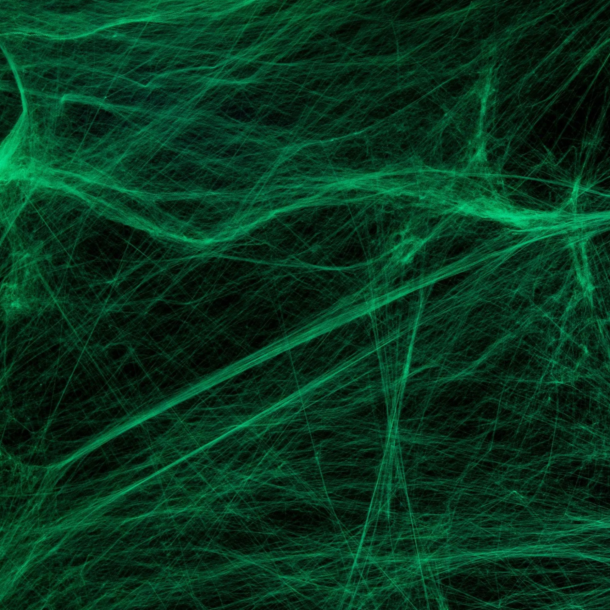 Party City Black Light Stretch Spider Web, 3.53Oz| Spiders & Webbing