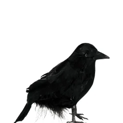 Party City Black Raven| Creatures