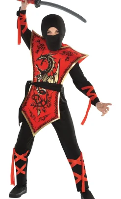 Party City Boys Ninja Assassin Costume|Boy Ninja