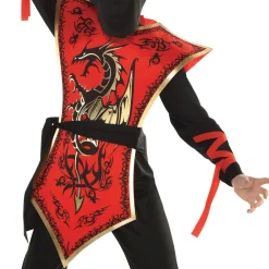 Party City Boys Ninja Assassin Costume|Boy Ninja