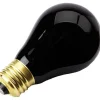 Party City Classic Black Light Bulb| Strobe Lights & Black Lights