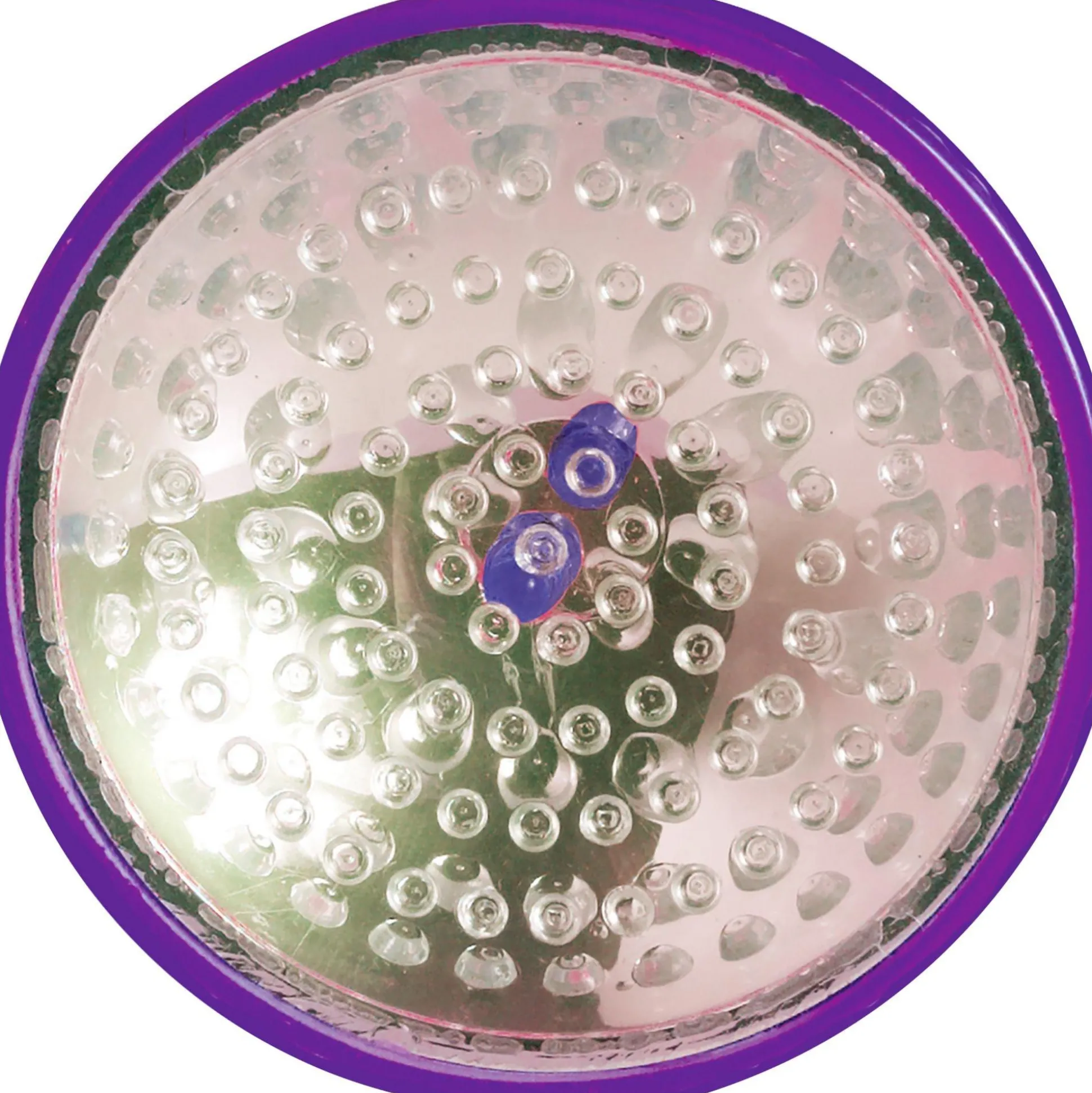 Party City Color Changing Pumpkin Lite| Strobe Lights & Black Lights