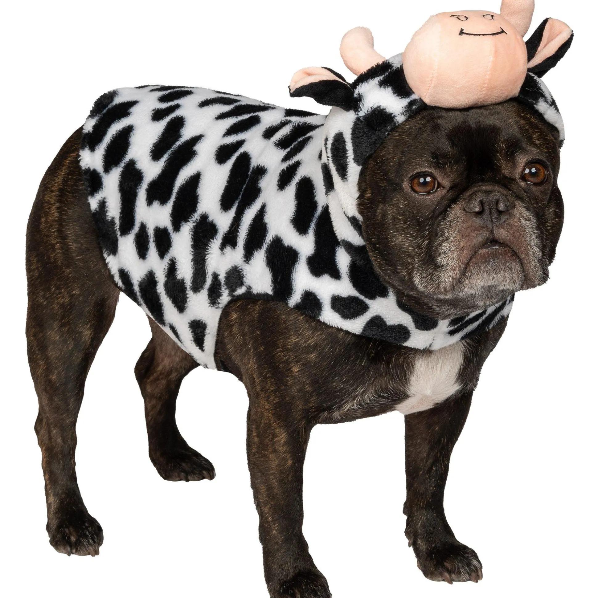 Best Cow Dog Costume Dog & Pet Costumes