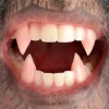 Cheap Custom Designer Werewolf Fangs Makeup