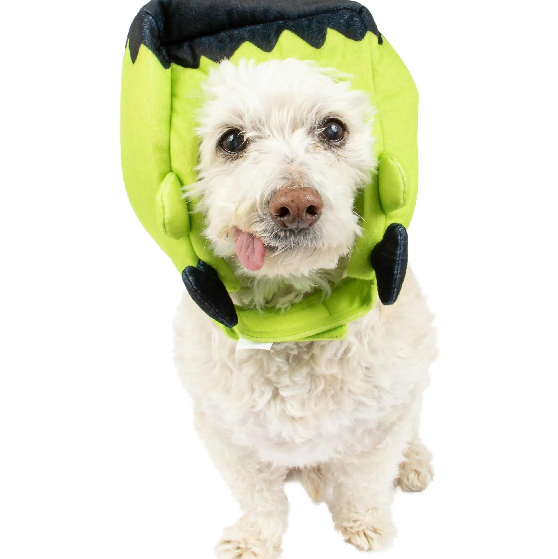 Best Frankenstein's Monster Dog Hat Dog & Pet Costumes