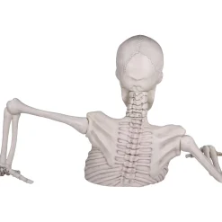 Party City Giant Rattles The Groundbreaking Skeleton Plastic Yard Decorating Kit, 8Pc| Creatures