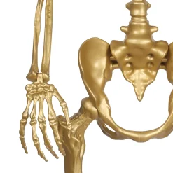 Party City Gold Life-Size Poseable Skeleton, 5Ft| Skeletons