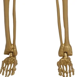 Party City Gold Life-Size Poseable Skeleton, 5Ft| Skeletons