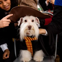New Gryffindor Dog Hoodie Costume - Harry Potter Dog & Pet Costumes