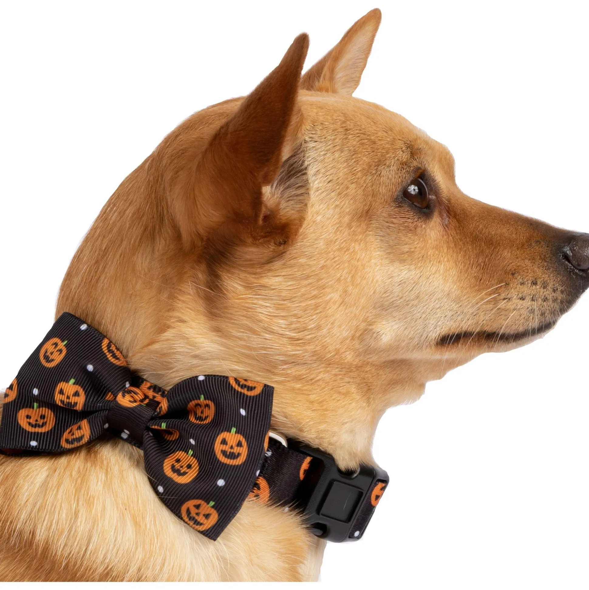 Best Sale Halloween Pumpkin Bow Tie Dog Collar Dog & Pet Costumes