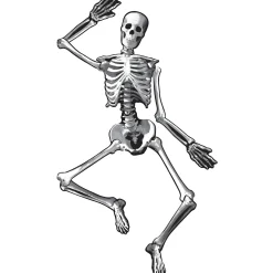 Party City Halloween Skeleton Jointed Cardstock Cutout, 53In| Window & Wall Décor