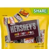 Discount Miniatures Share Pack, 10.4Oz Bulk Candy