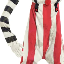 Party City Kids' Creepy Long Armed Clown Illusion Costume|Boy Scary