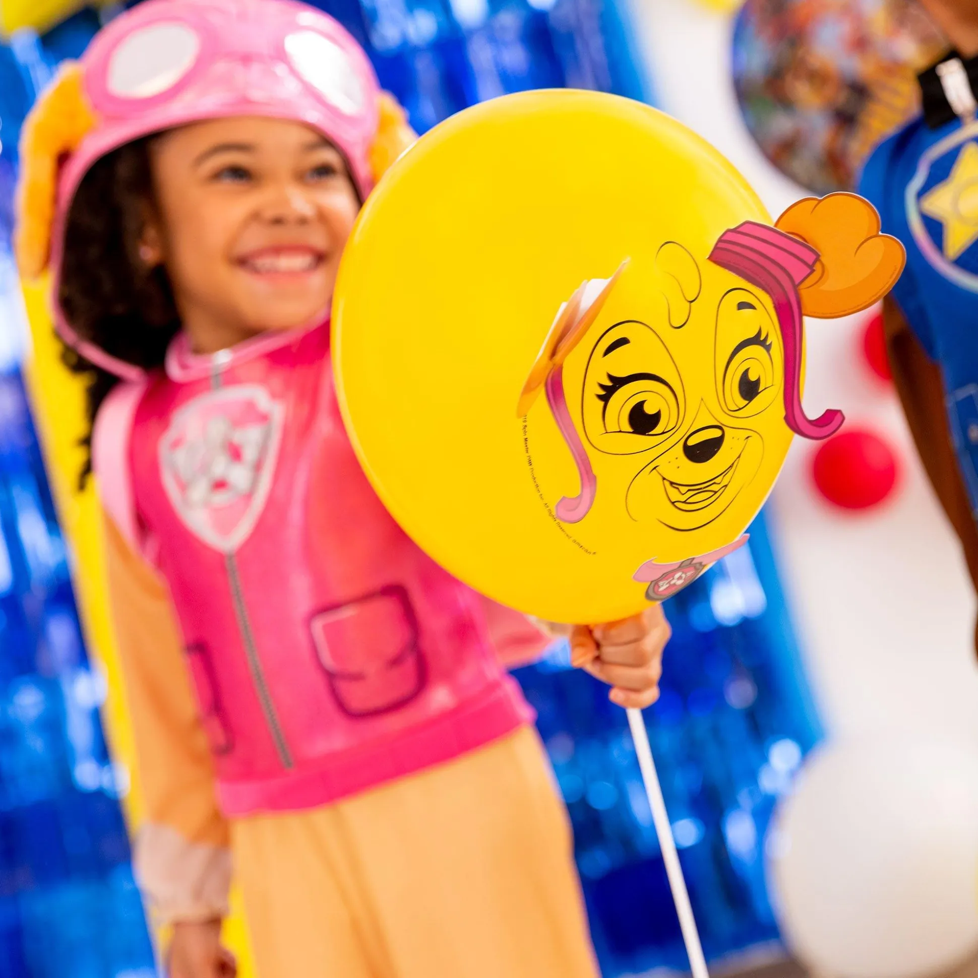 Party City Kids' Skye Costume - Paw Patrol| Animal