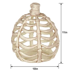 Party City Large Bone Plastic Pumpkin, 11In| Boneyard Glam