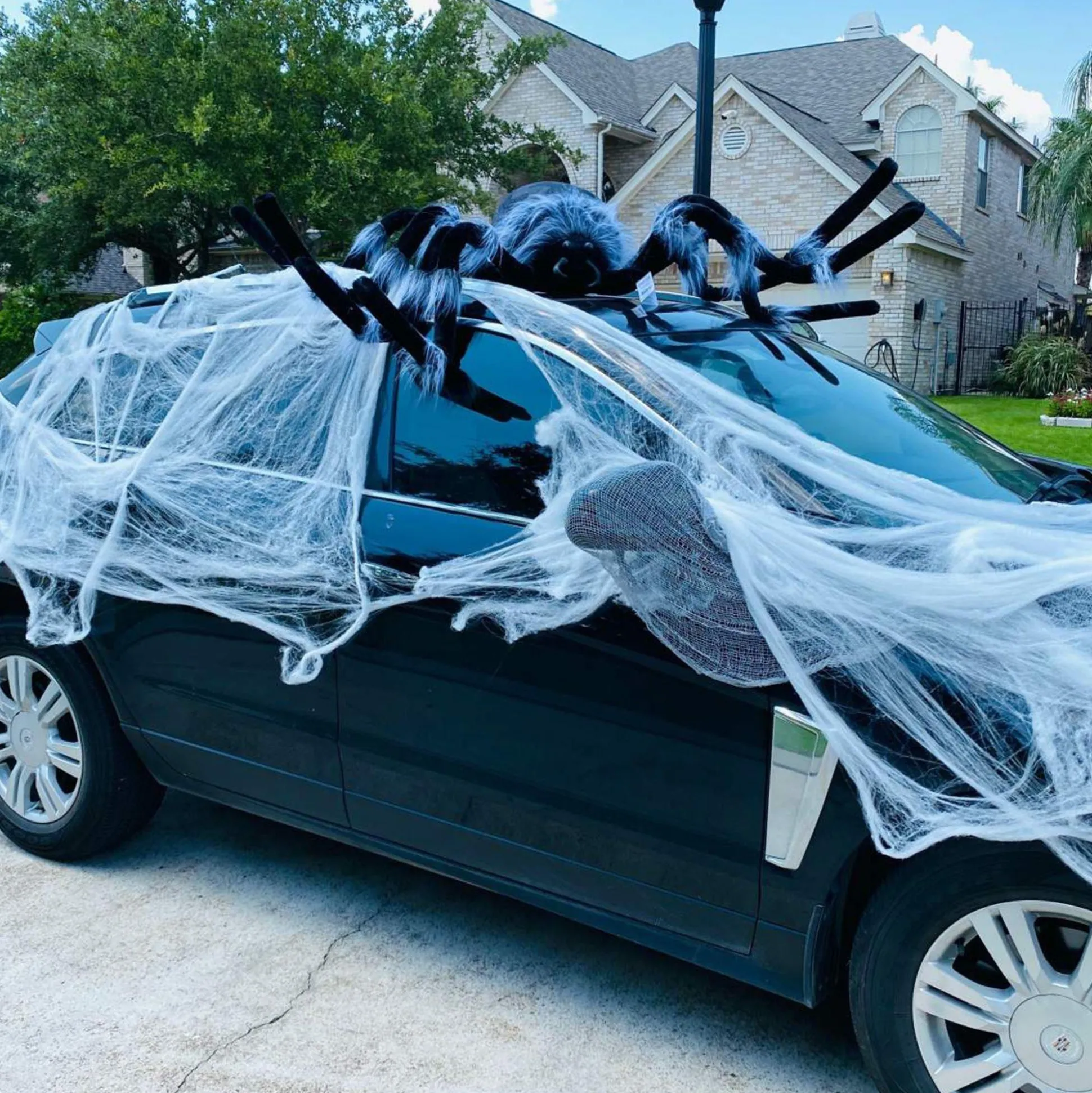 Party City Light-Up Hairy Black Spider| Spiderweb Night