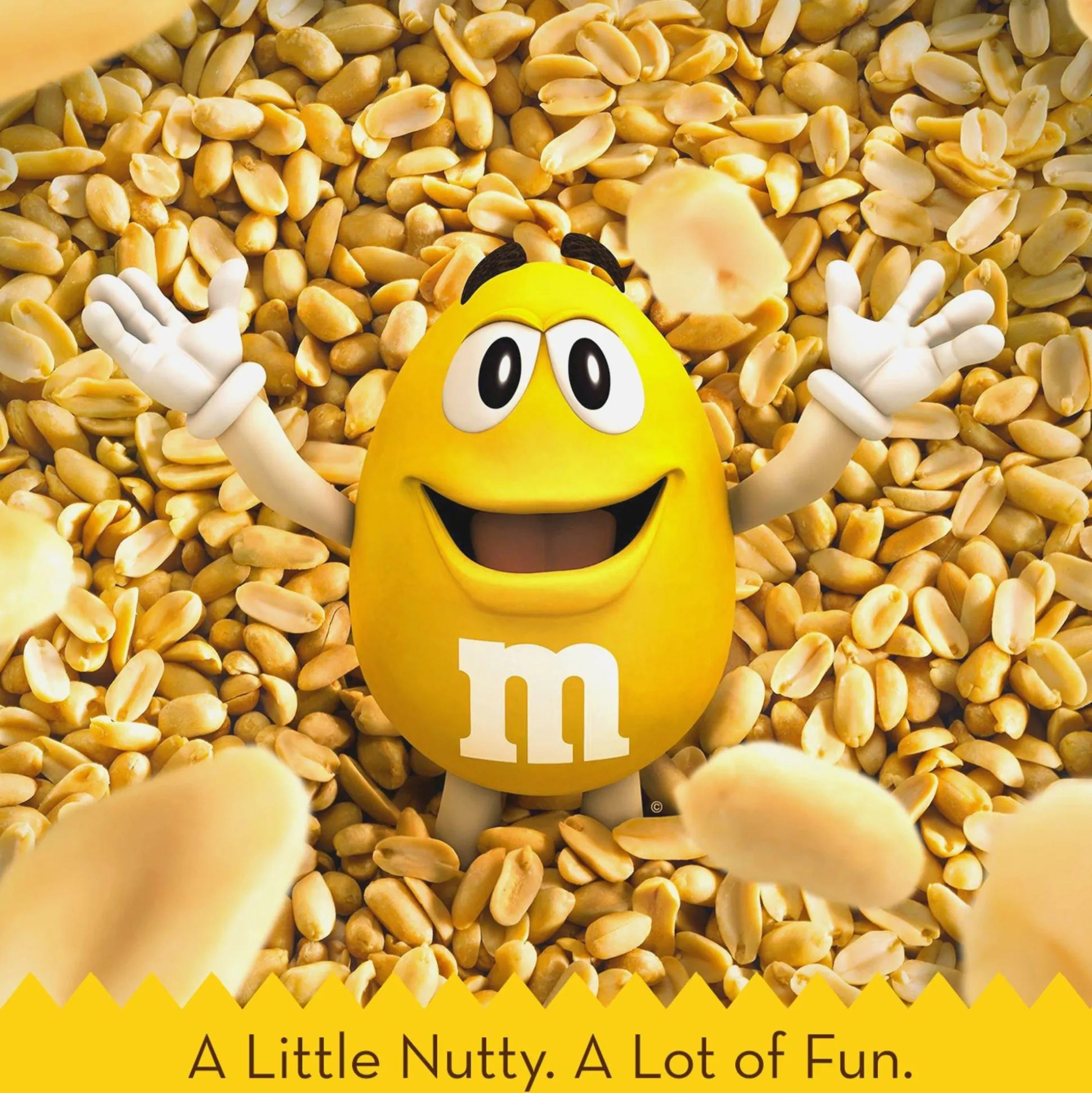 Hot Milk Chocolate Peanut M&M's - Share Size Chocolate Candy