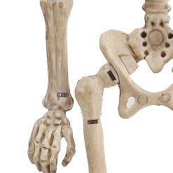 Party City Miniature Poseable Skeleton, 8In| Skeletons