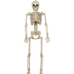 Party City Miniature Realistic Hanging Skeleton, 16In| Boneyard Glam