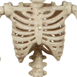 Party City Miniature Realistic Hanging Skeleton, 16In| Boneyard Glam