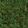 Party City Natural Moss, 4.2Oz| Home Décor