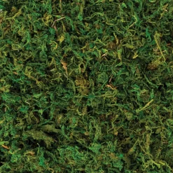Party City Natural Moss, 4.2Oz| Home Décor