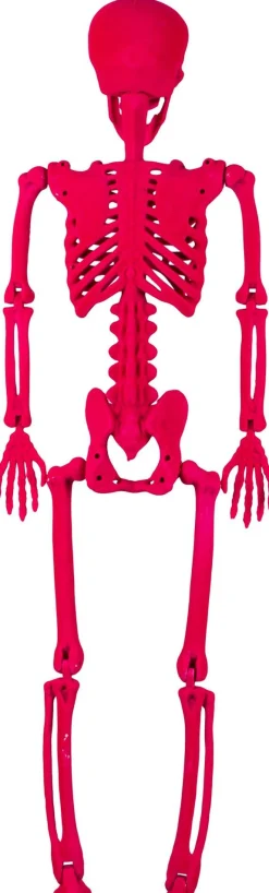 Party City Neon Pink Black Light Reactive Flocked Skeleton Hanging Decoration, 36In| Boneyard Glam