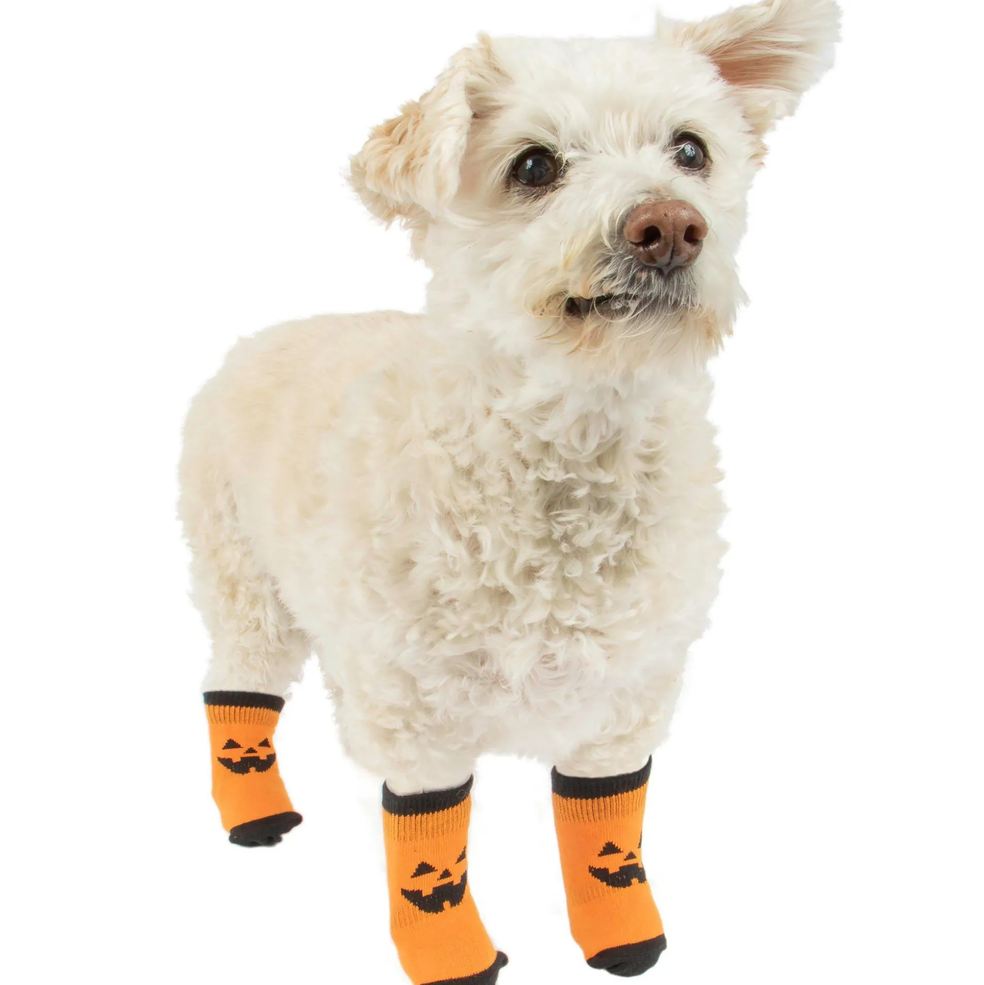 Cheap Orange & Black Jack-O'-Lantern Anti-Slip Dog Socks Dog & Pet Costumes