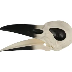 Party City Plastic Raven Skull, 3.5In X 8.75In| Skeletons