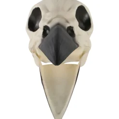 Party City Plastic Raven Skull, 3.5In X 8.75In| Skeletons