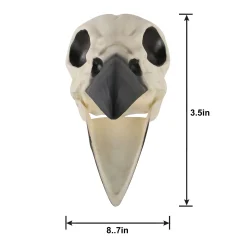 Party City Plastic Raven Skull, 3.5In X 8.75In| Skeletons