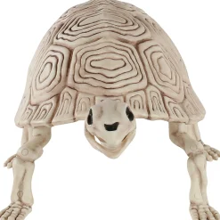 Party City Plastic Turtle Skeleton, 7In X 14In| Skeletons
