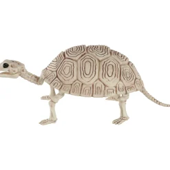 Party City Plastic Turtle Skeleton, 7In X 14In| Creatures