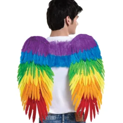 Best Sale Rainbow Feather Wings, 15In Wings