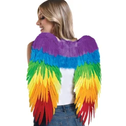 Best Sale Rainbow Feather Wings, 15In Wings