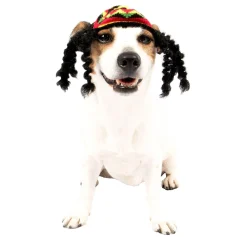 Sale Rasta Dog Costume Dog & Pet Costumes