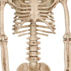 Party City Realistic Hanging Skeleton, 3Ft - Halloween Decoration| Skeletons