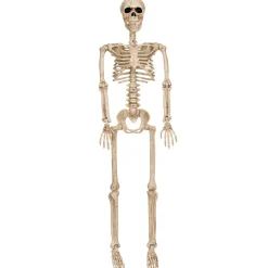 Party City Realistic Hanging Skeleton, 3Ft - Halloween Decoration| Boneyard Glam