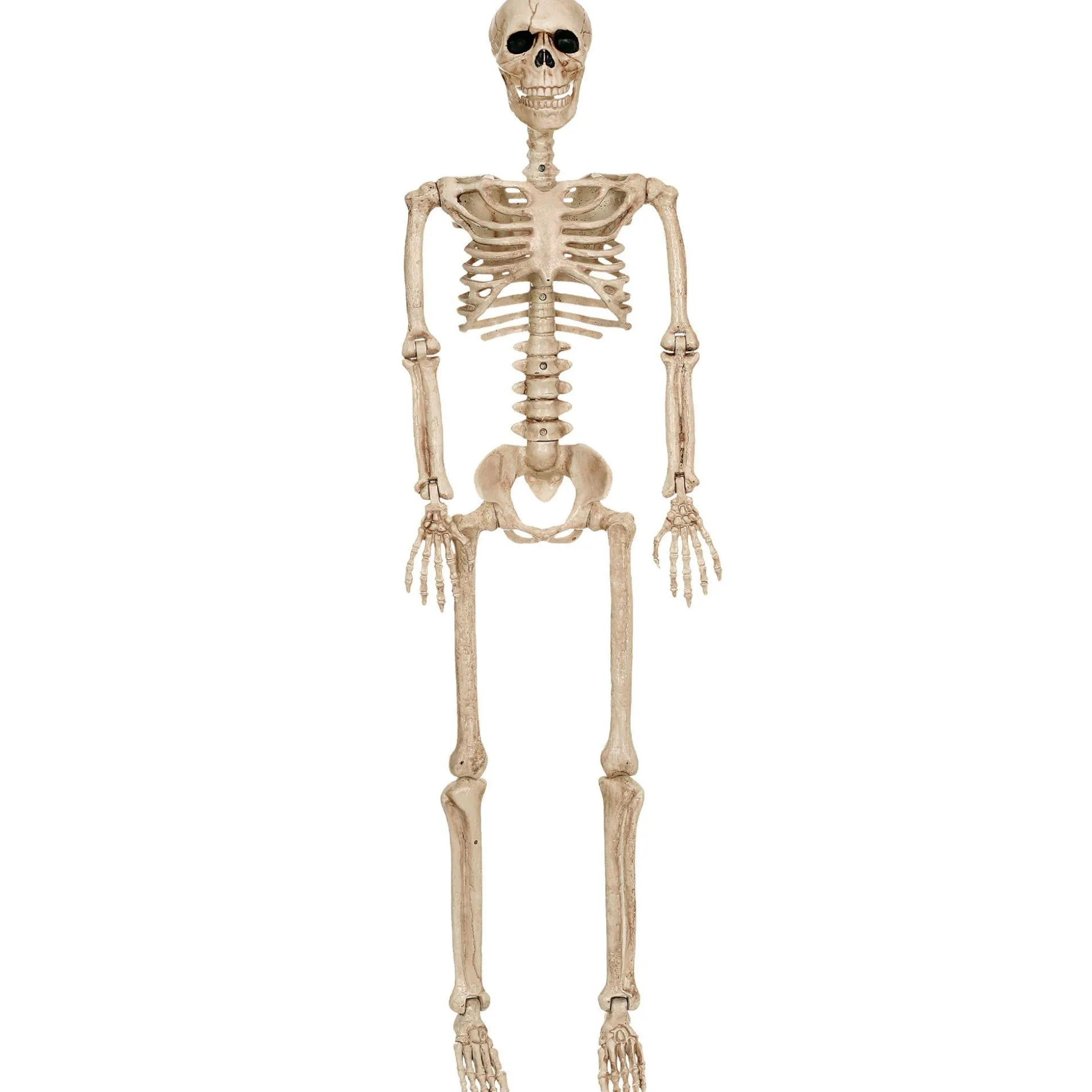 Party City Realistic Hanging Skeleton, 3Ft - Halloween Decoration| Boneyard Glam