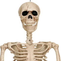 Party City Realistic Hanging Skeleton, 3Ft - Halloween Decoration| Boneyard Glam